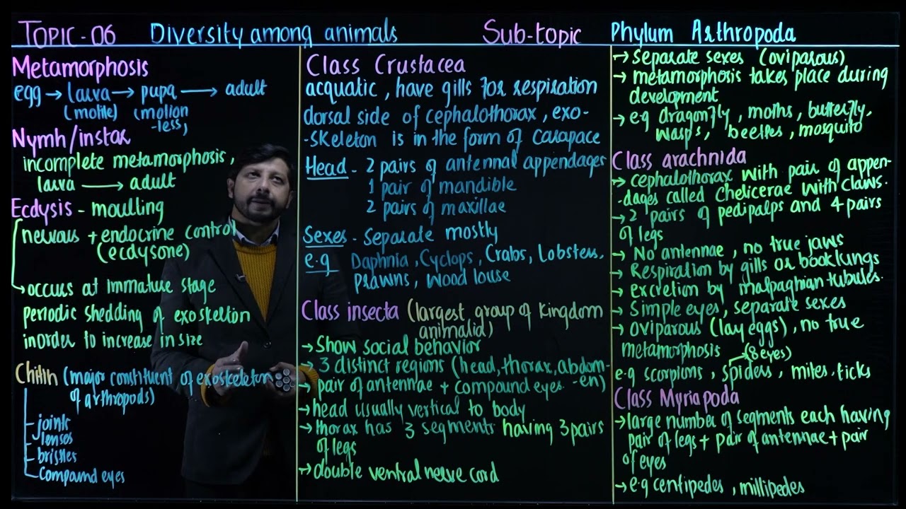 Classes of Arthropoda | MDCAT BIOLOGY | KINGDOM ANIMALIA |