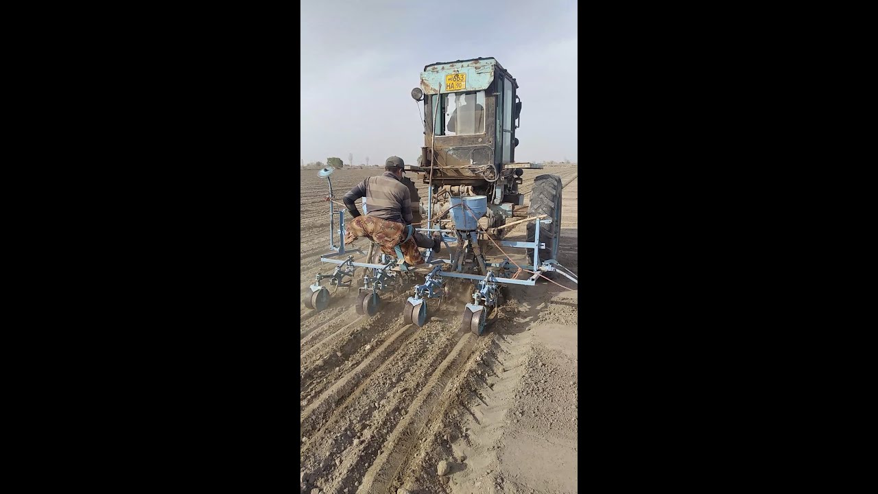 Uzbekistan. Paxta ekish davom etmoqda