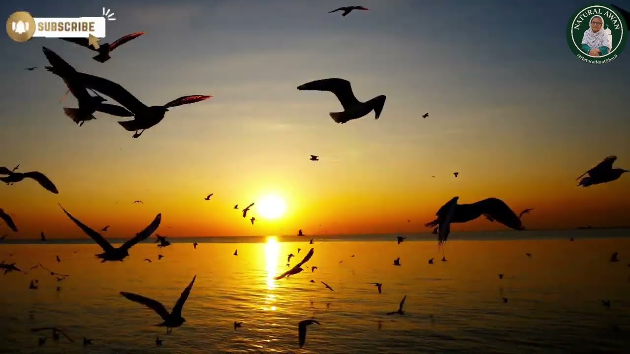 रूह को झकझोर देने वाली हकीकत | Islamic Awakening Natural Awan Natural Naat Sharif 