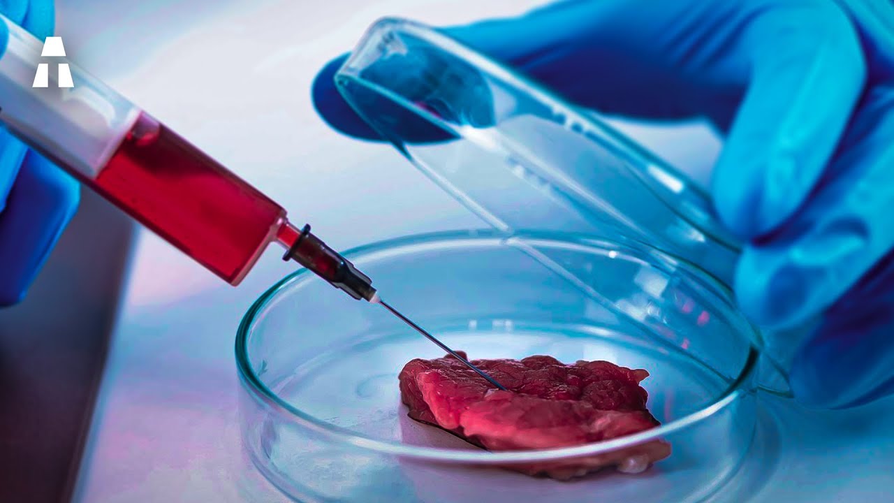 Comment est Produite la Viande Synthétique ?