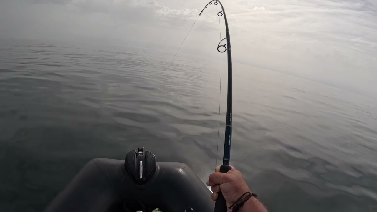 capture d'un superbe thon rouge dans le Morbihan avec Fabrice Toledo