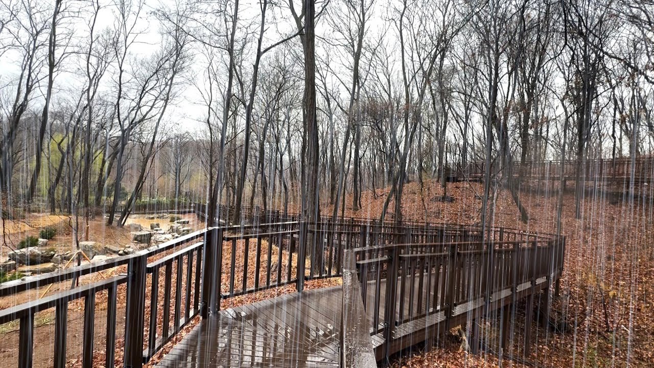 한적하고 조용한 공간에서 듣는 마음이 편안해지는 빗소리, 불면증 해소의 최고의 사운드, 백색소음 ASMR