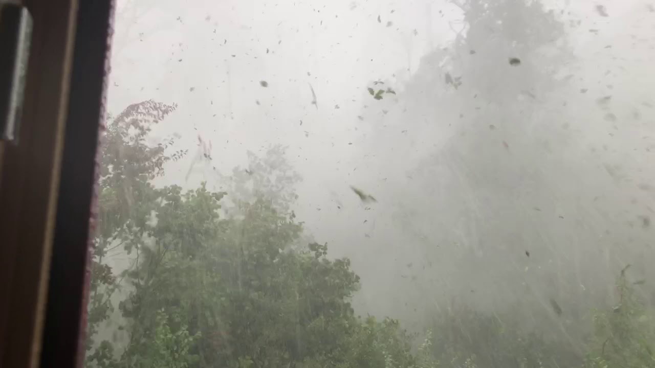 Drei Eichen fallen im Unwetter! Gewitterfallböe (Downburst, kein Tornado) in Dietzenbach!