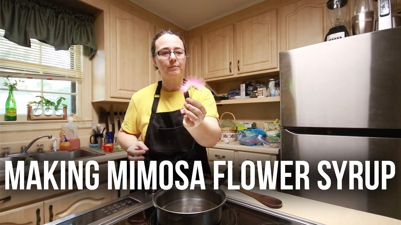 Making Mimosa Flower Syrup