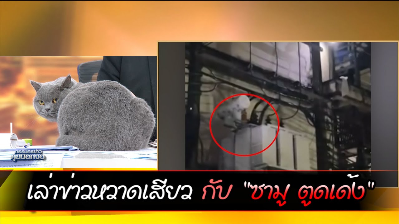 เล่าข่าวหวาดเสียวกับ 