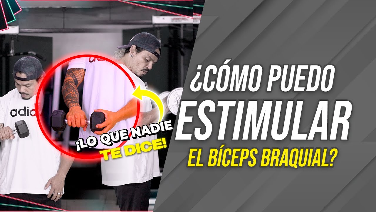 &iquest;C&Oacute;MO PUEDO ESTIMULAR EL B&Iacute;CEPS BRAQUIAL? | Frank Serapi&oacute;n.
