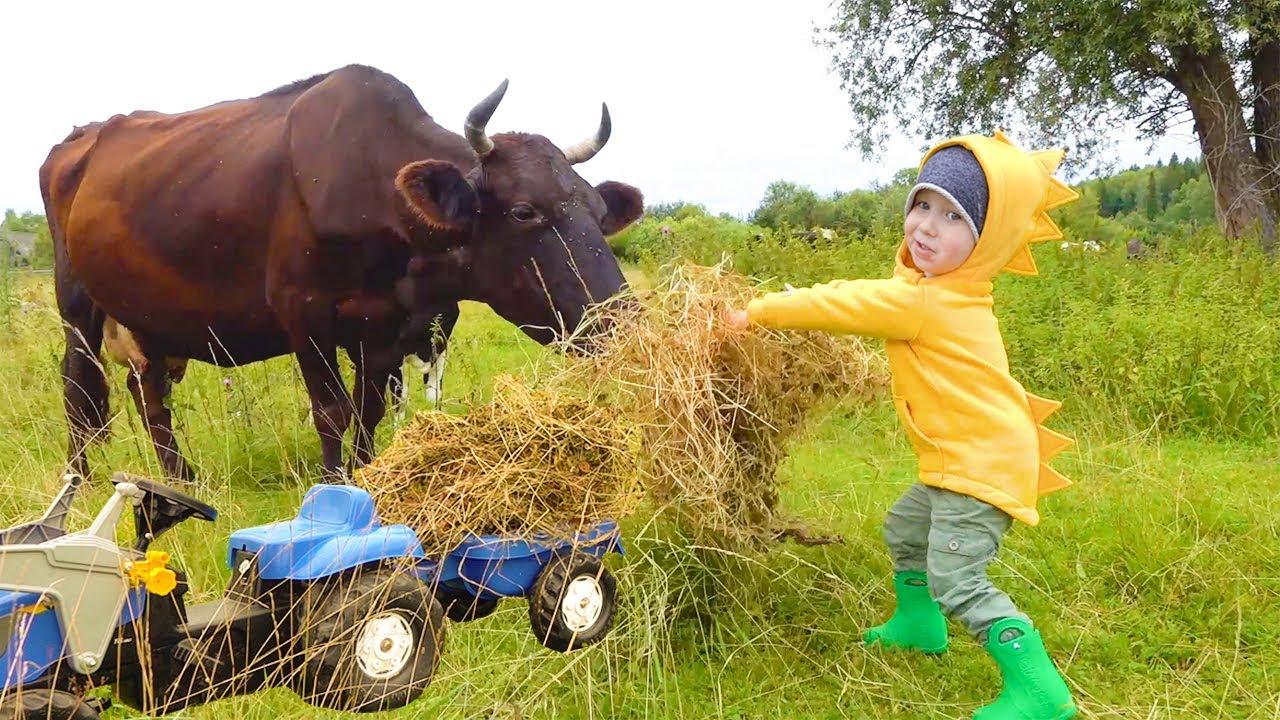 Малыш на ферме ездит на синем тракторе и кормит животных