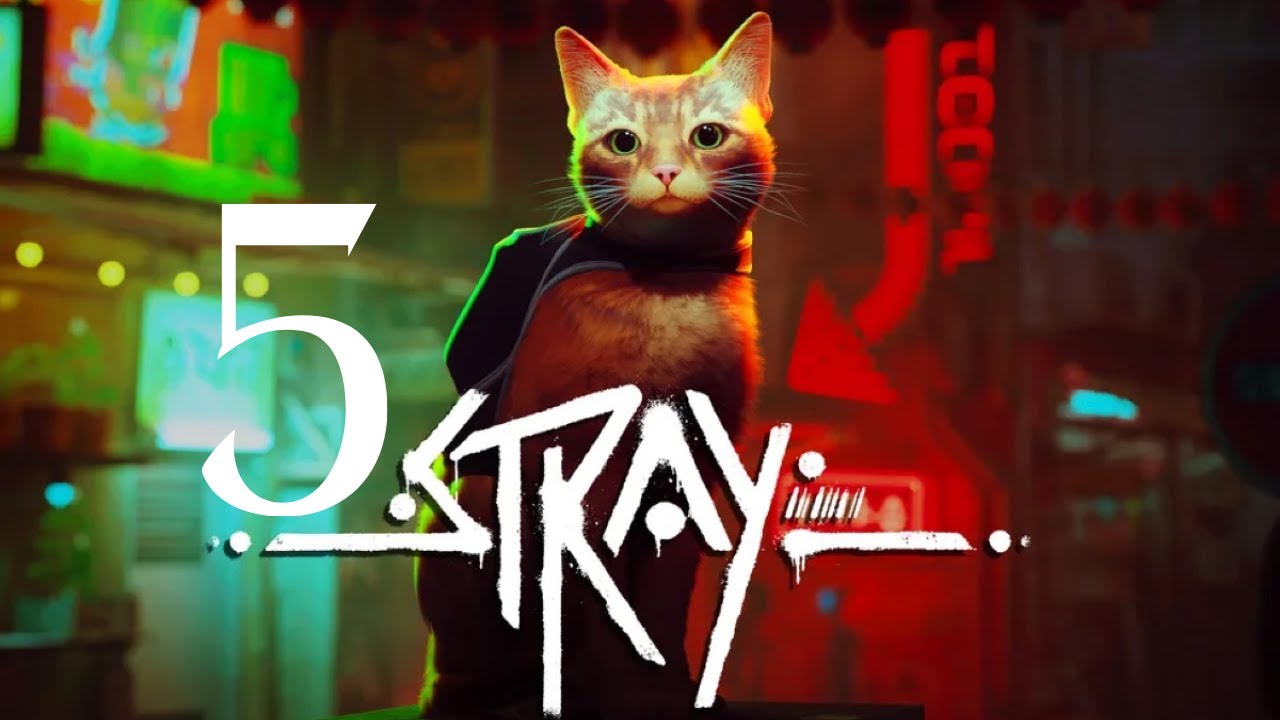 Operazione infiltrazione ( STRAY Gameplay ITA Ep.5)