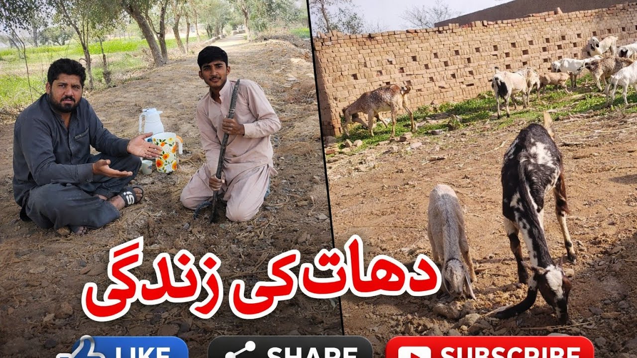 ہمارا آج کا ویلاگ گاؤں کے روز مرہ کے کام پر بنایا گیا 