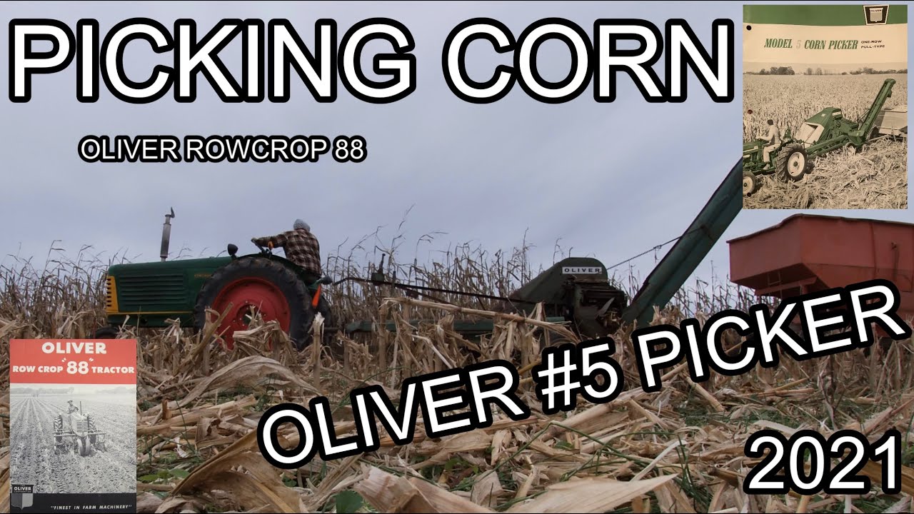 Corn Harvest 2021-Part 3: Picking Ear Corn!!!! Oliver 88 and #5 Picker