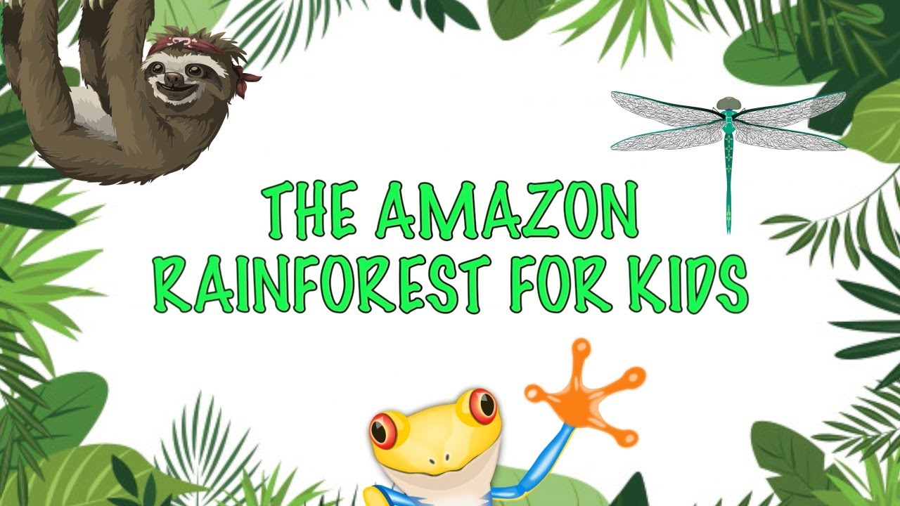 Facts about the Amazon Rainforest For kids