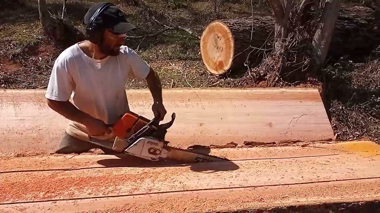 Sthil Ms 460 .na minha opinião melhor máquina qui sthil já Fabricou pena ter saído de linha 😭😭😭😭