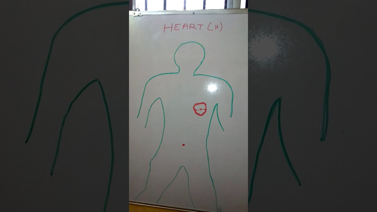 Irraivan Oruvanae,  human, Body heart