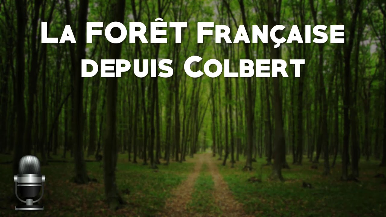 [HGGSP Terminale] La forêt française depuis Colbert