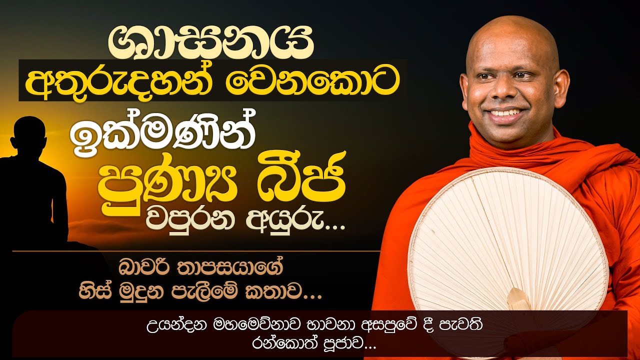 ශාසනය අතුරුදහන් වෙනකොට ඉක්මණින් පුණ්‍ය බීජ වපුරන අයුරු...  | Venerable Welimada Saddaseela Thero