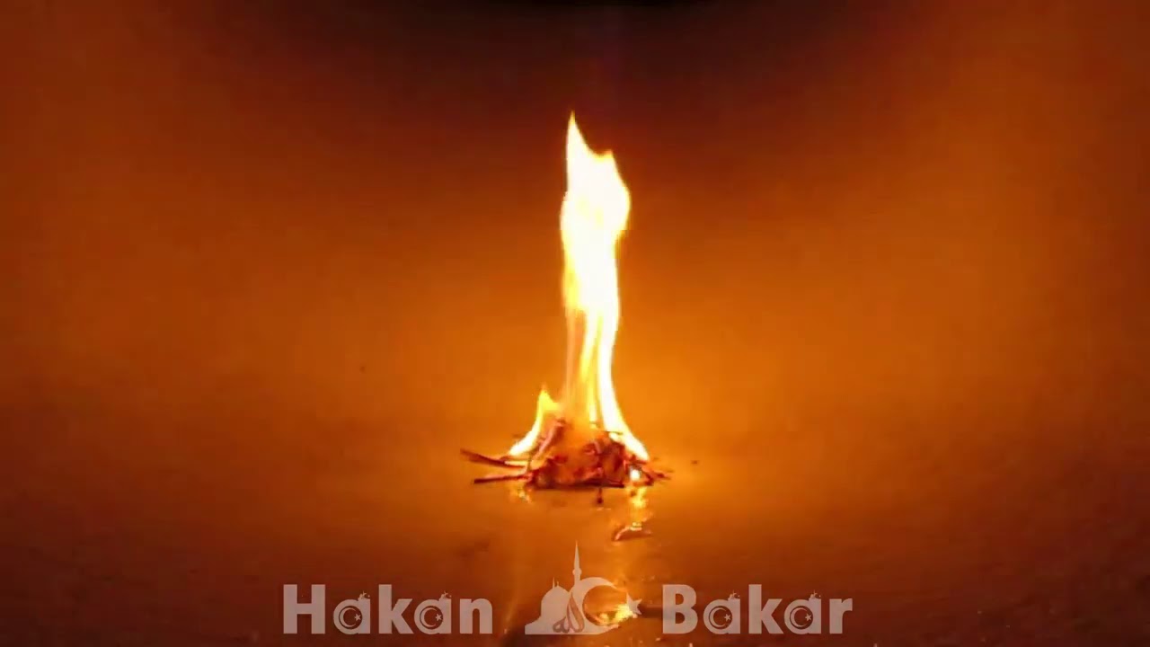 Ş&uuml;phesiz ki şeytan, Bakara s&ucirc;resinin okunduğu eve giremez.Rukye 5 Saat