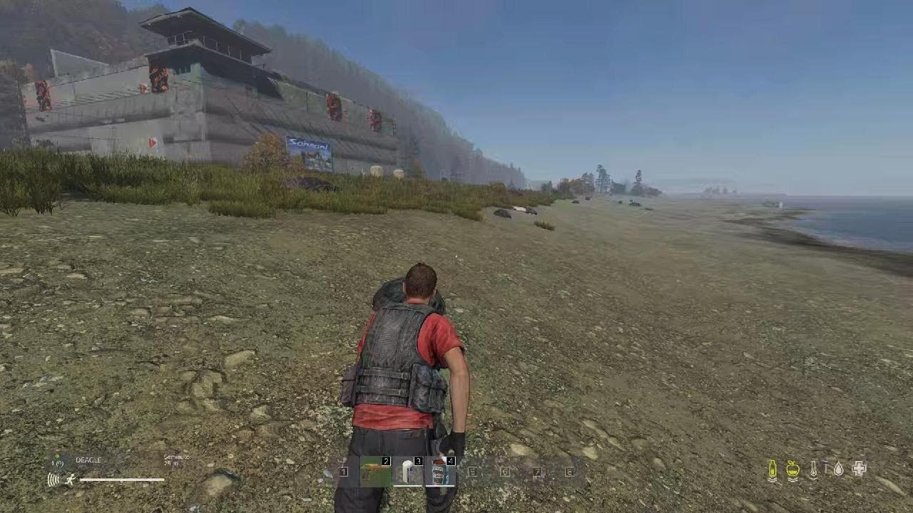 DayZ_20260303080536