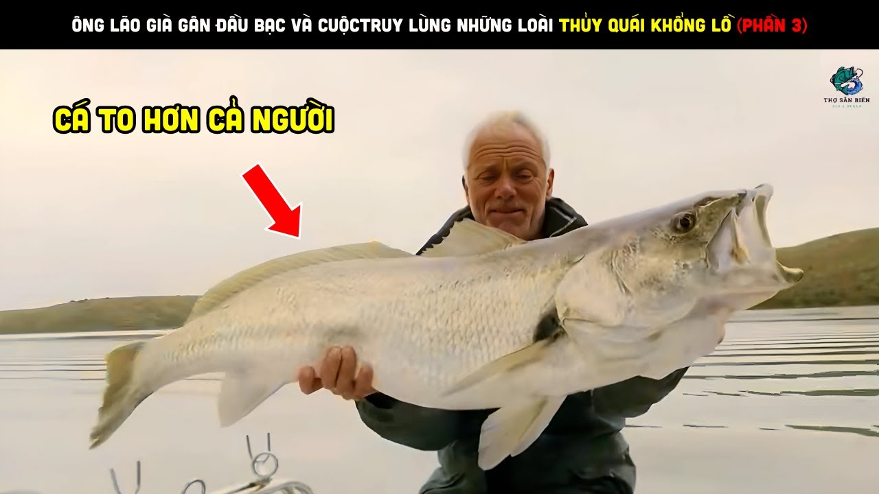Ông Lão Già Gân Đầu Bạc Và CuộcTruy Lùng Những Loài Thủy Quái Khổng Lồ (Phần 3)| Review bắt hải sản