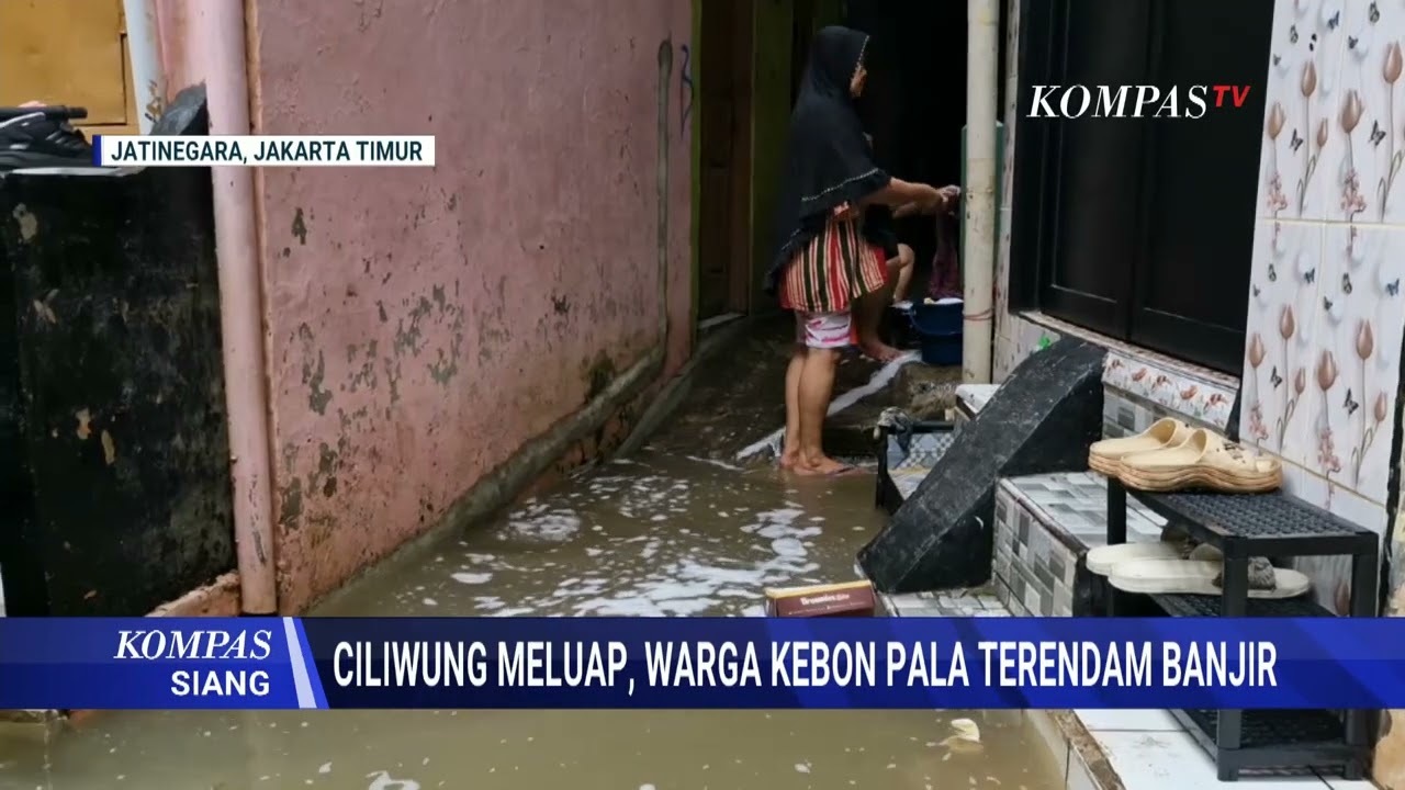 Banjir 1 Meter Lebih Rendam Kebon Pala Jakarta Timur Akibat Kali Ciliwung Meluap