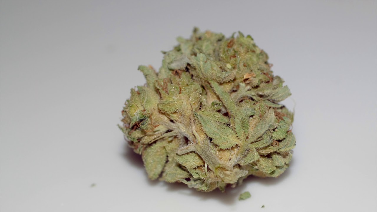 IESO NYC Diesel Strain Review