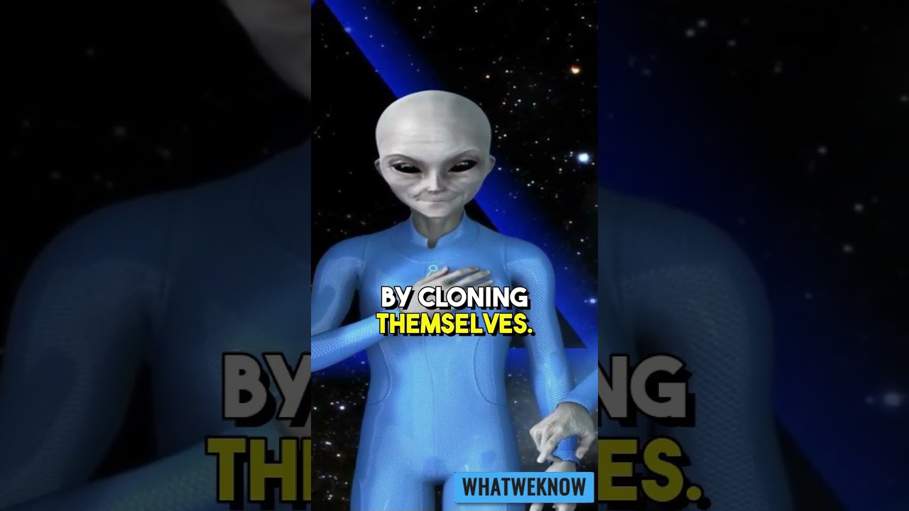 The Sassani | Alien Races in Contact with Earth Believe it or Not #alienspecies #aliens #shots