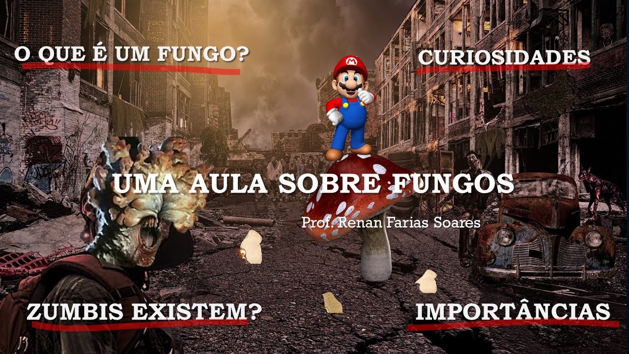 FUNGOS: Características, importâncias e ZUMBIS?! [TUDO que você precisa saber sobre o Reino Fungi]