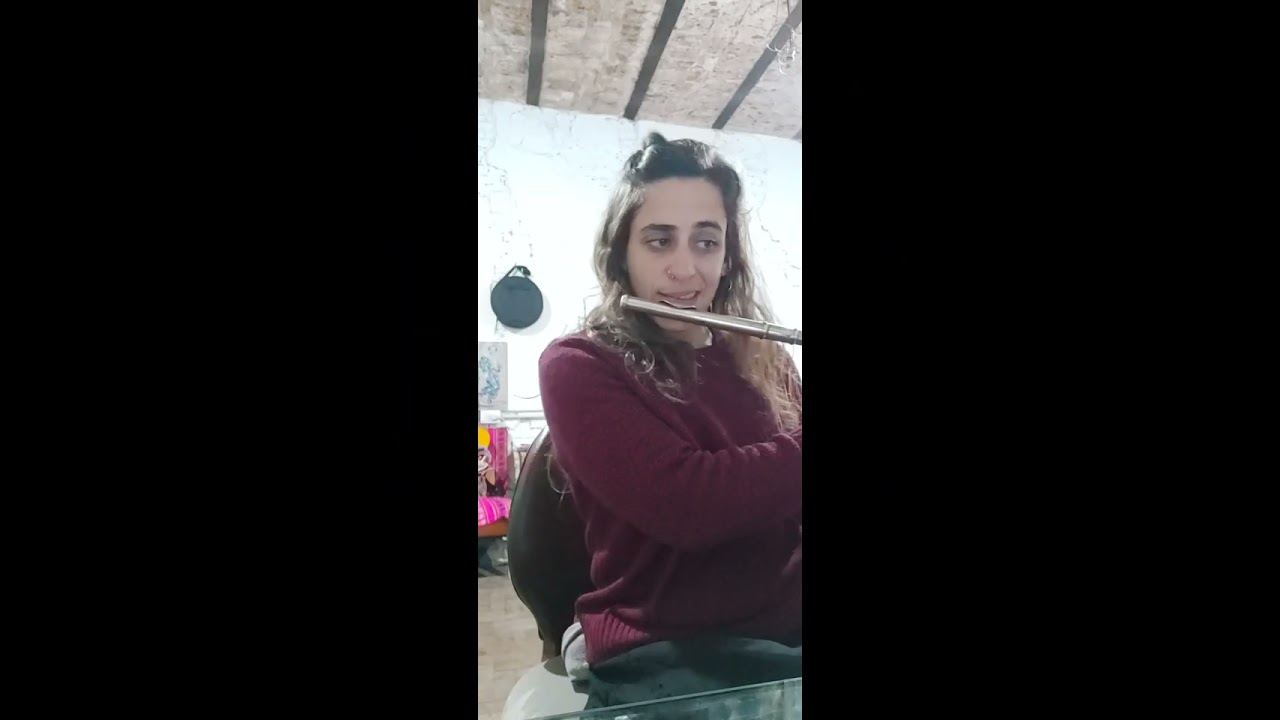 multinstrumentista