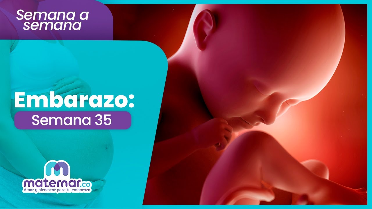 Semana 35 de embarazo: ¿Qué hago si mi bebé no se mueve? | Maternar.co