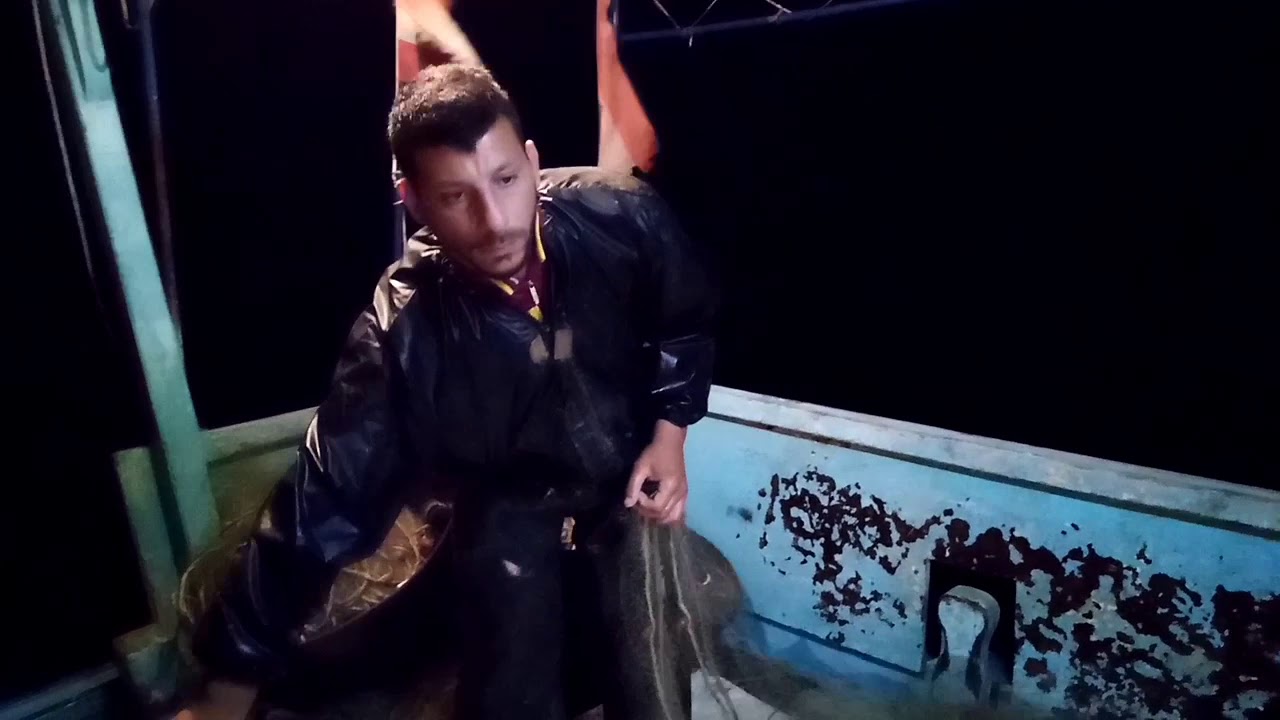 صيد بالشباك سمك الغبص