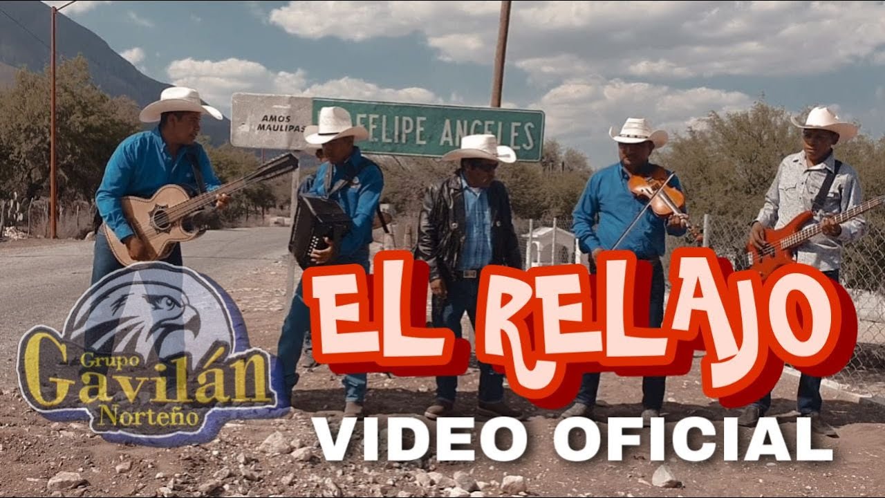 GAVILAN NORTEÑO 