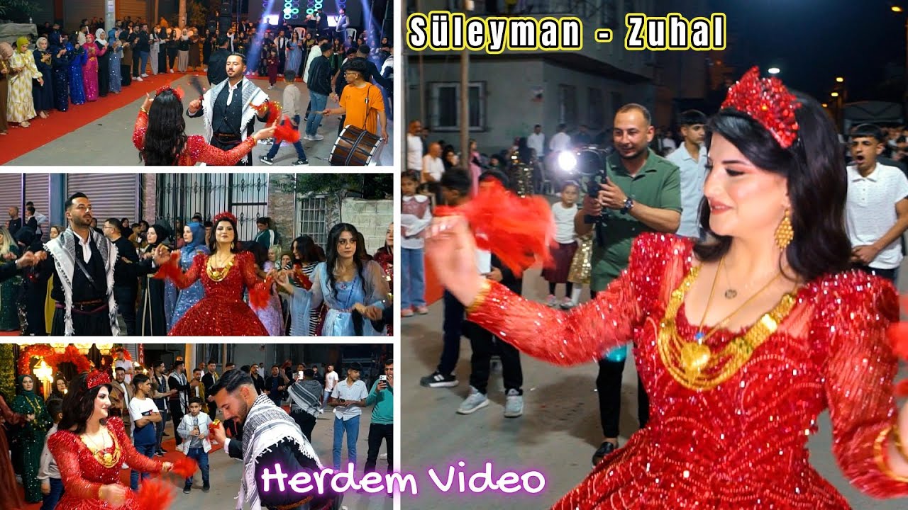 Dilan Müzik / Reyhan Kaya - Süleyman & Zuhal / Henna #part1 #herdemproduction