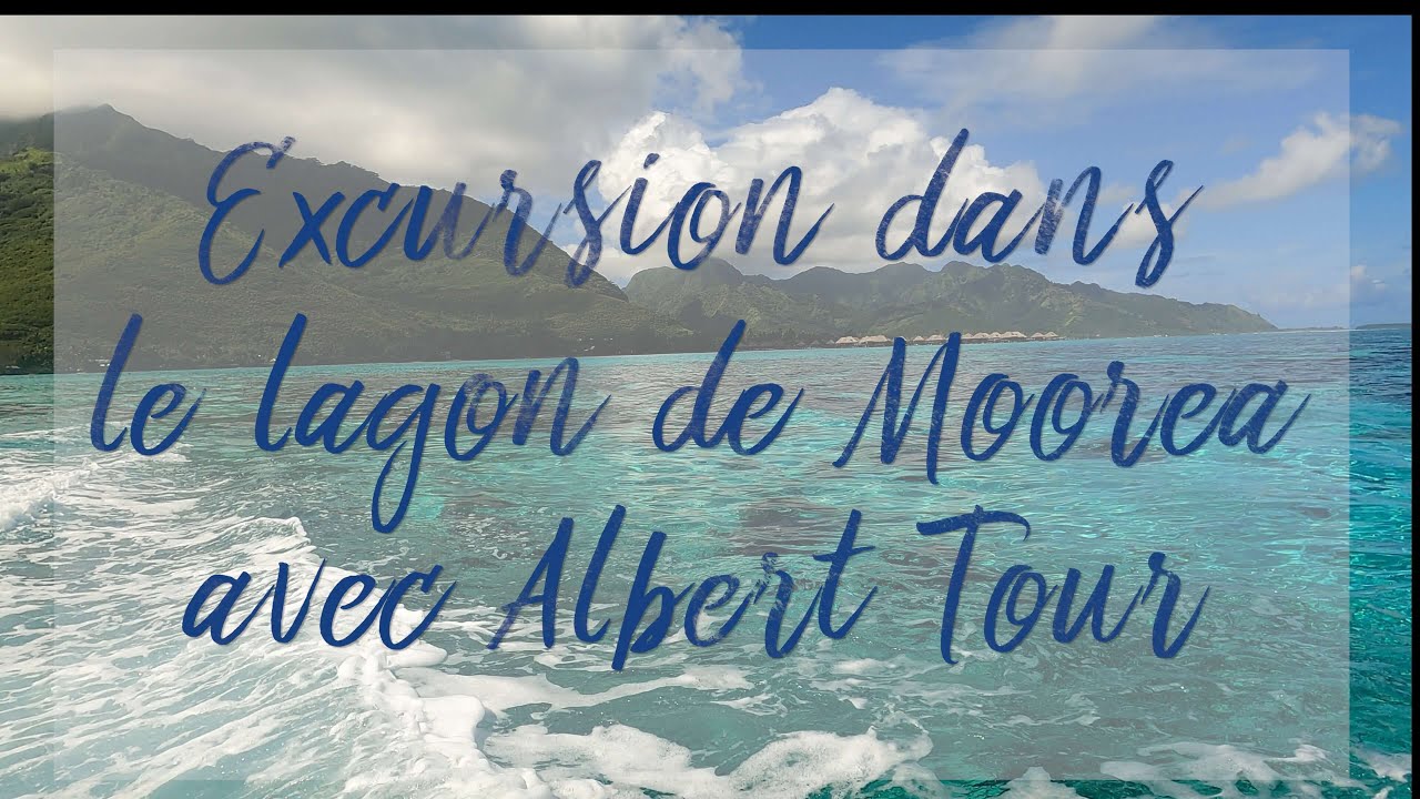 Guide Voyage : Excursion du lagon de Moorea avec Albert Tour ! Nager avec requin, raie & poisson 🏝🐠🦈