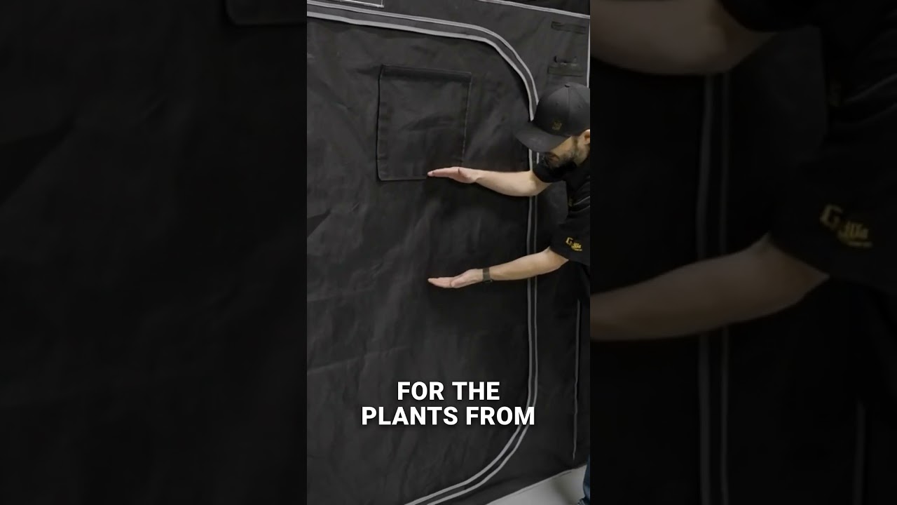 Why Grow Tent Size Matters 🌱 Gorilla Grow Tent &ndash; The Biggest on the Market!  #indoorgardening