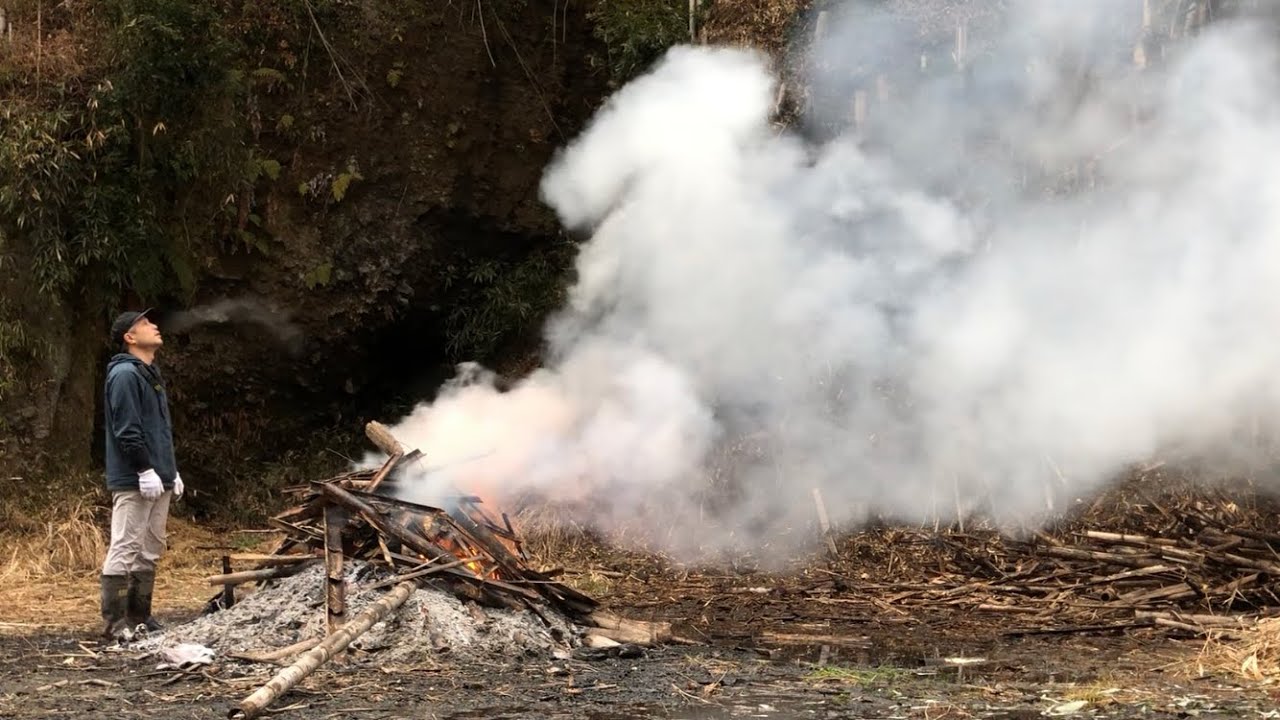 凍える日は暖かい火に救われる〜荒廃した孟宗竹林の整備４年目の野焼き2025/01/30−01