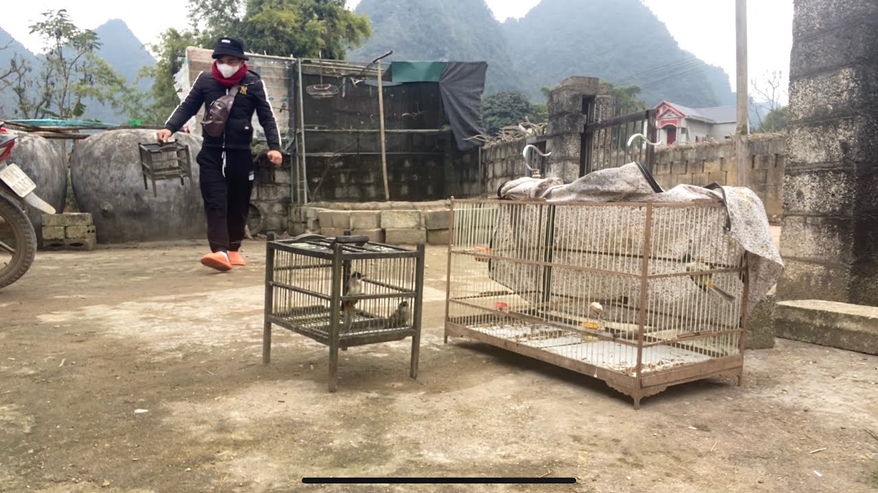 Ch&agrave;o m&agrave;o mộc dở lần đầu đi bẫy đ&atilde; thu phục được bổi th&aacute;i độ cực tốt |Huy sky