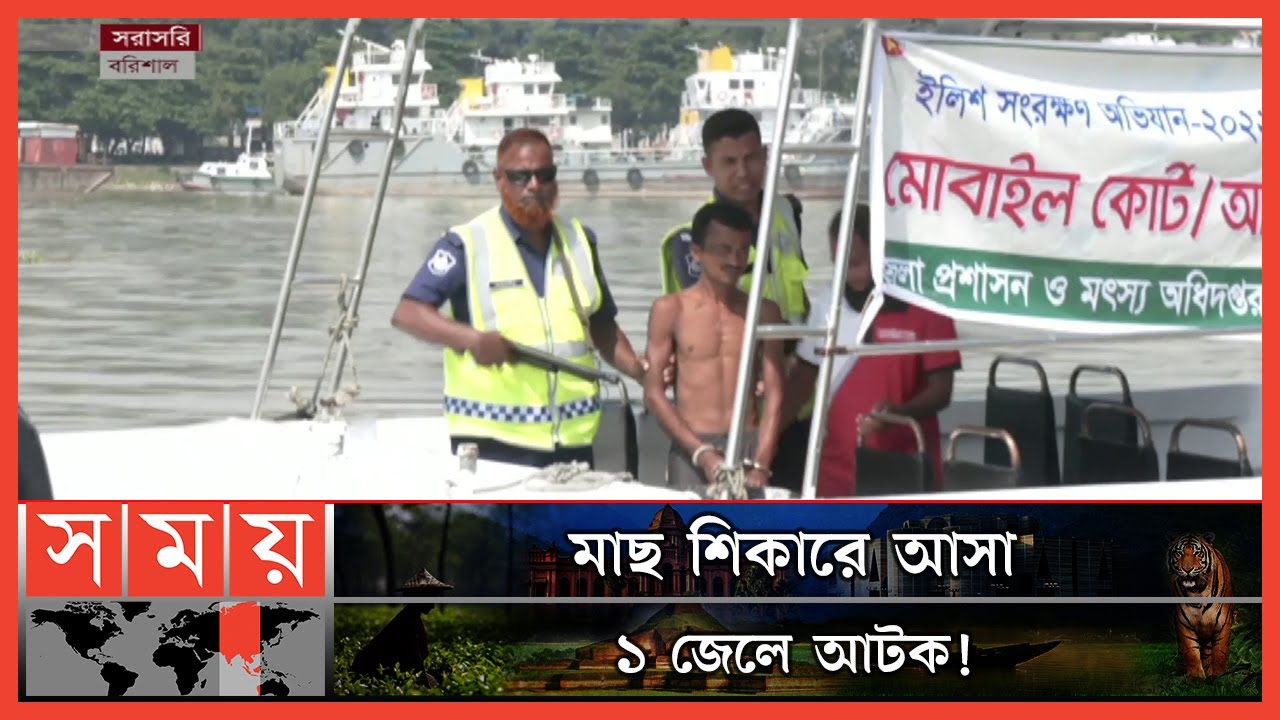 মা ইলিশ রক্ষায় চলছে ২২ দিনের নিষেধাজ্ঞা! | Ilish Fishing Ban | Barishal News | Somoy TV