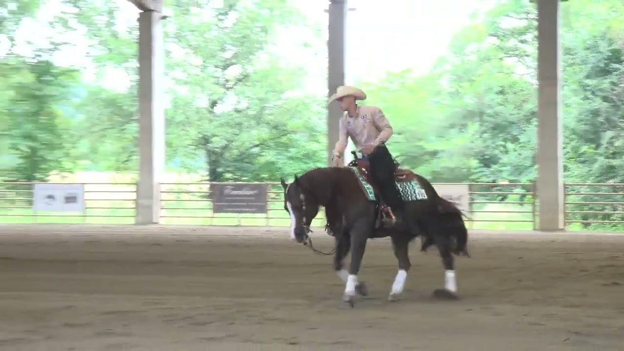 3 tappa APCR 2025 - SICURO NICO & COLONELS DANCING GUN score 219,5