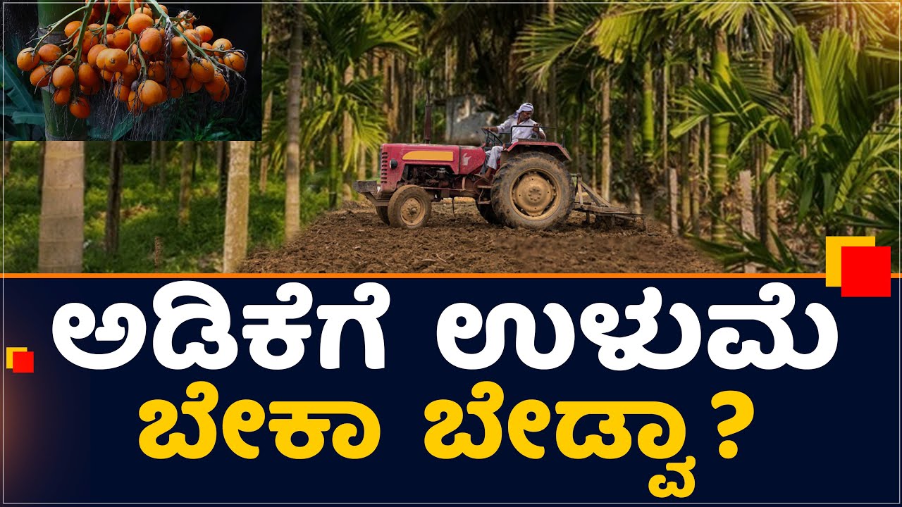 ಅಡಿಕೆಗೆ ವರ್ಷದಲ್ಲಿ ಎಷ್ಟು ಬಾರಿ ಉಳುಮೆ ಮಾಡಬೇಕು?#tillagepractices #tillagedisadvantagesinarecaflot#viral