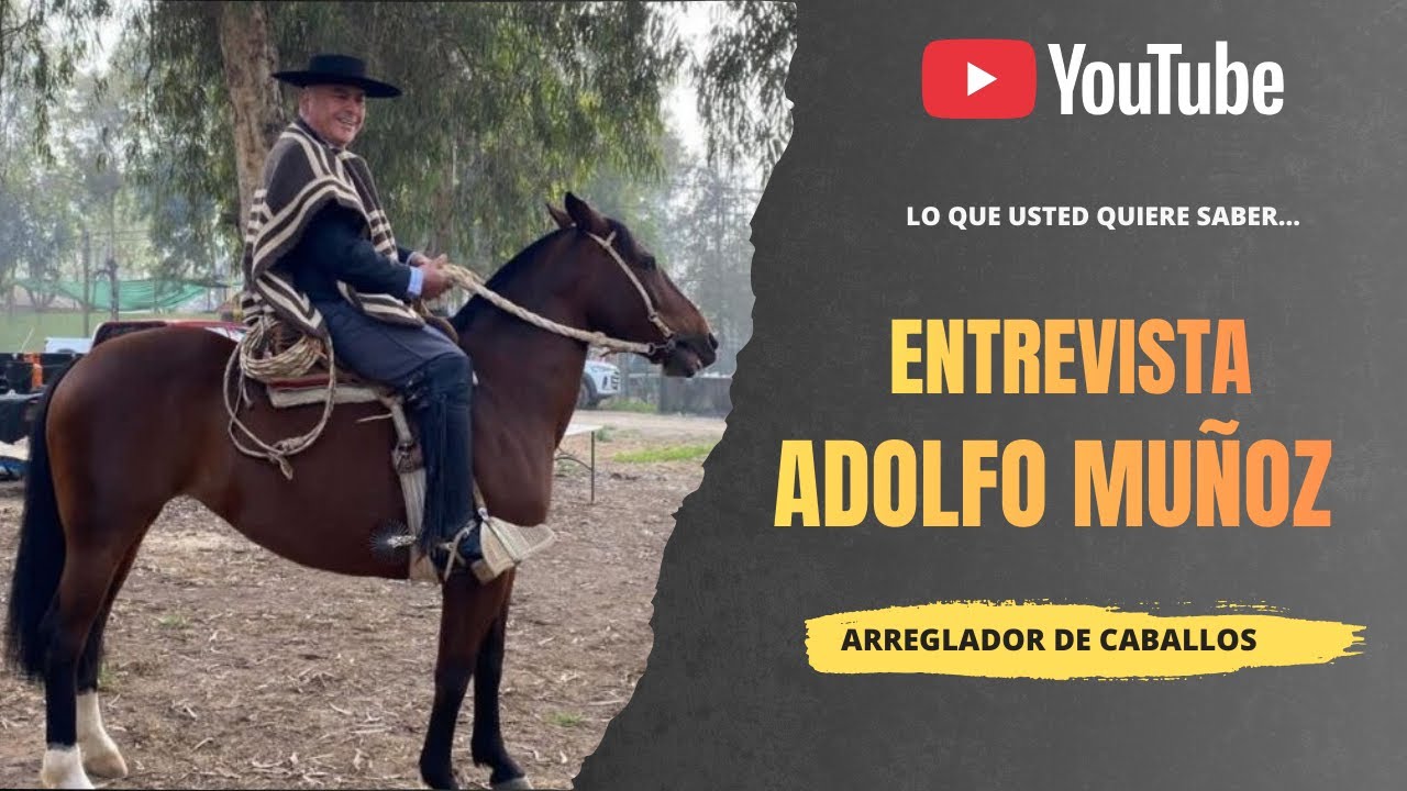 Entrevista al Sr. Adolfo Muñoz  - Arreglador de caballos corraleros