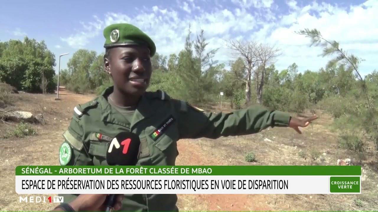 #CroissanceVerte .. Sénégal :Arboretum de la forêt classée de Mbao