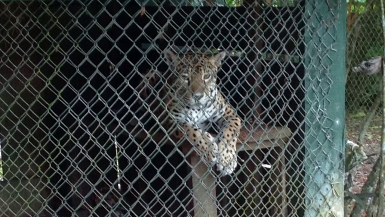McKees In Belize - Spring 2016