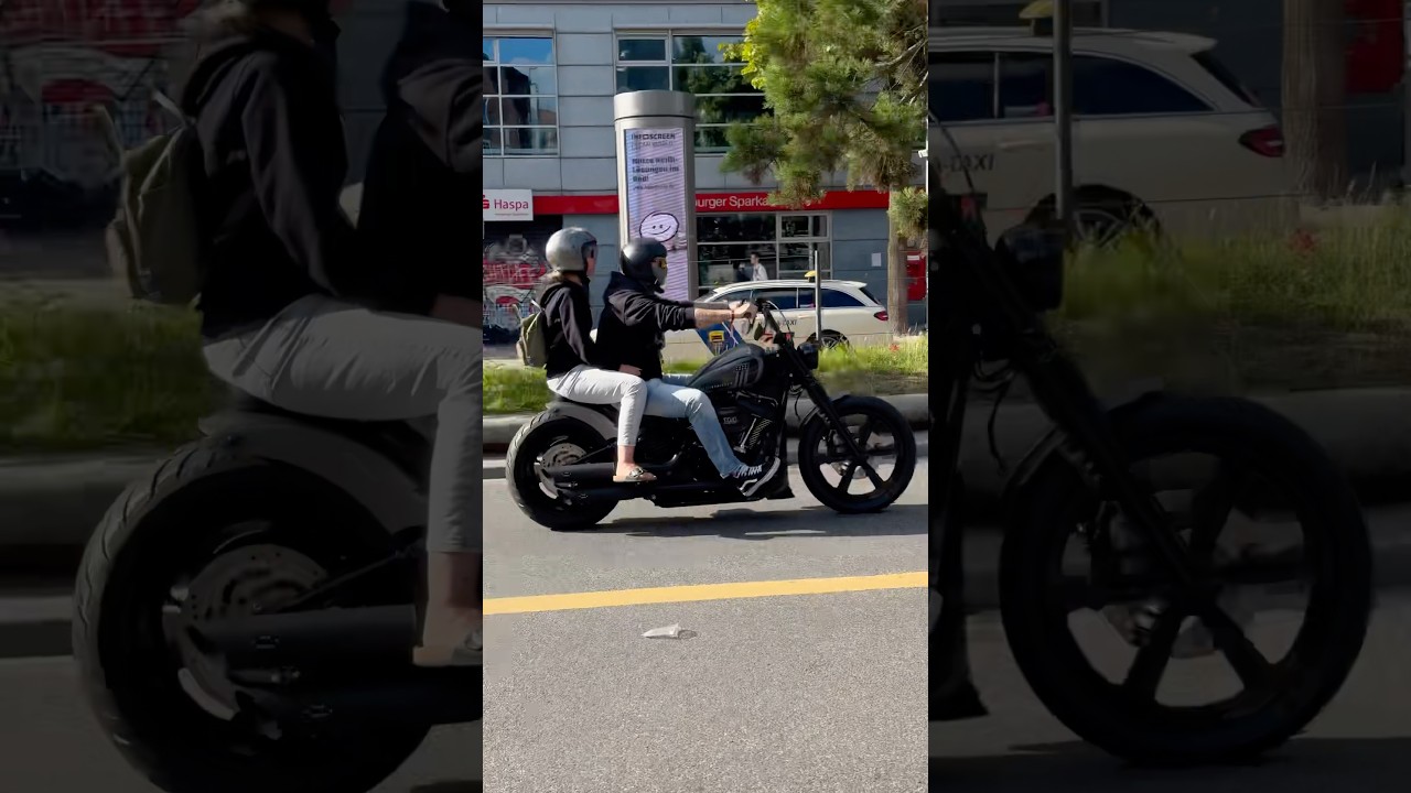 Harley Street Bob#harley #streetbob