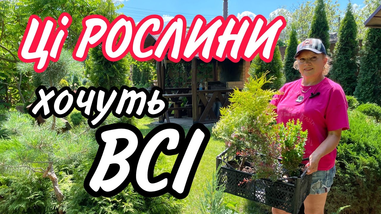 Ці РОСЛИНИ ЗАВЖДИ ЗАМОВЛЯЮТЬ.Їх хочуть ВСІ.