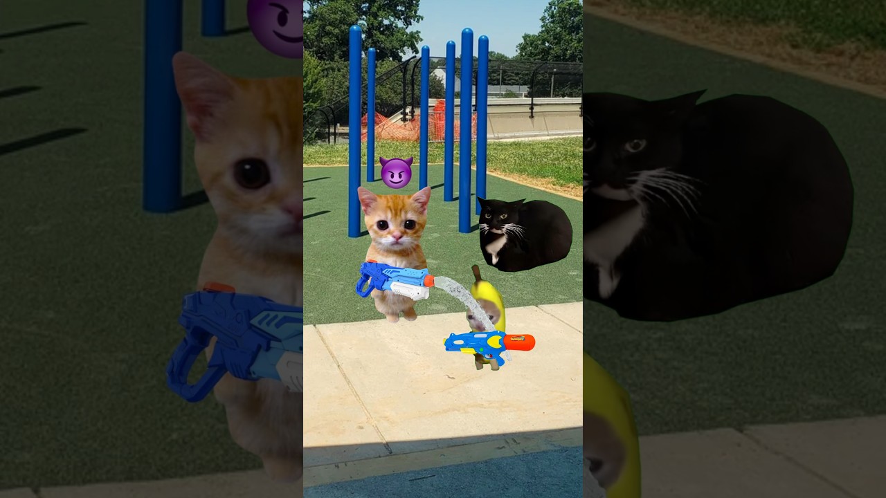 happy cat and banana cat 🍌🐱 #bananacat #happycat