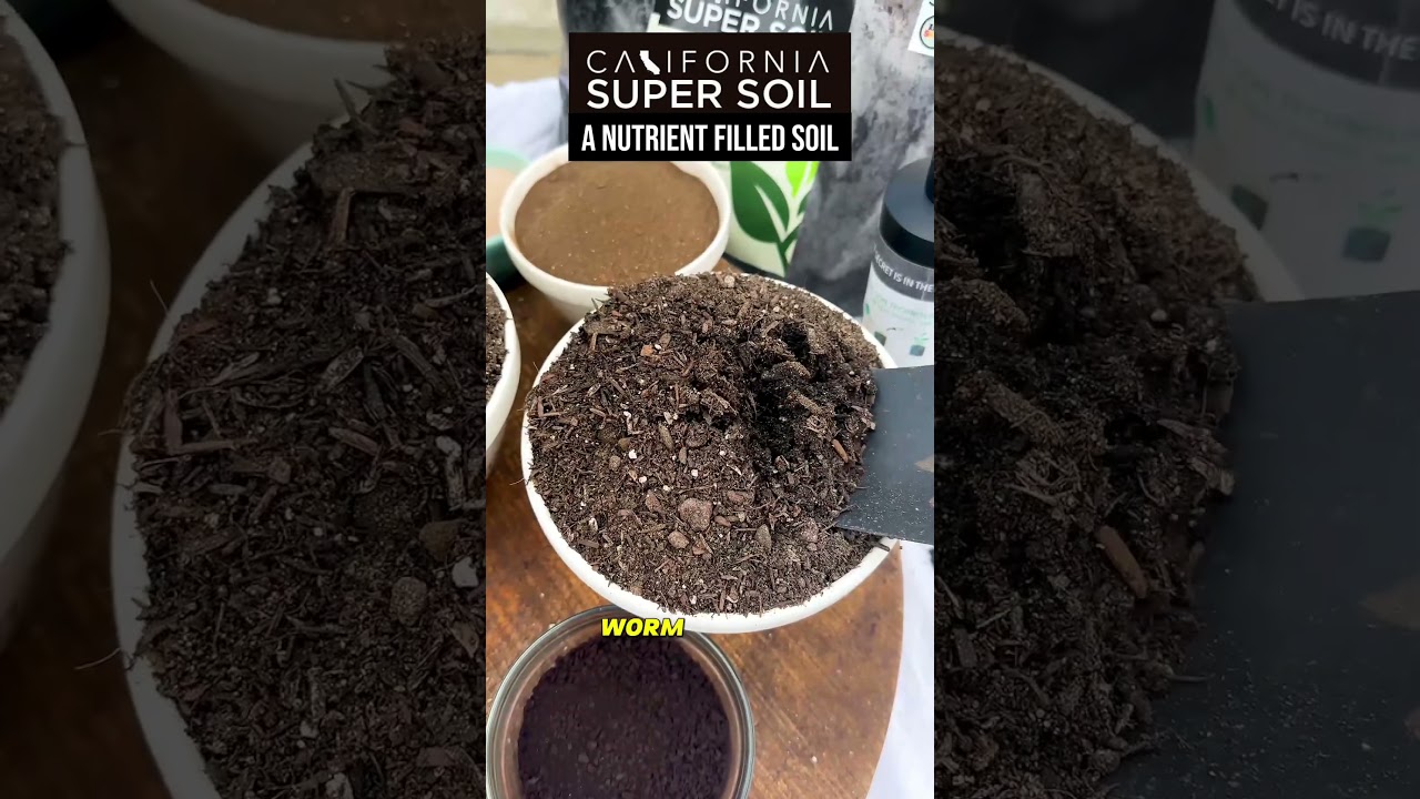 California Super Soil - A Nutrient Filled Soil  #homegrown #indoorplants #hydroponics #growth