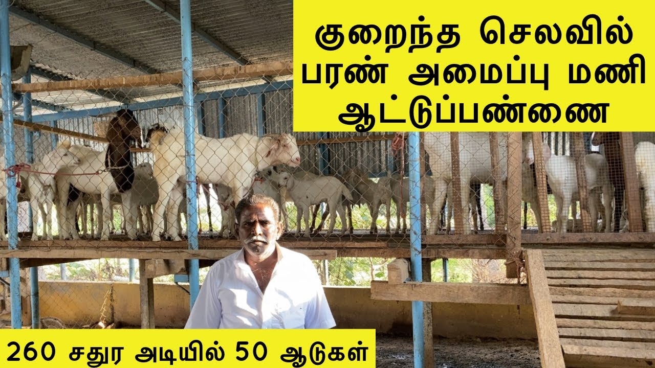 மணி ஆட்டுப்பண்ணையில் ஒரு நாள் | சின்னசேலம் | Mani Goat Farm | Chinnasalem