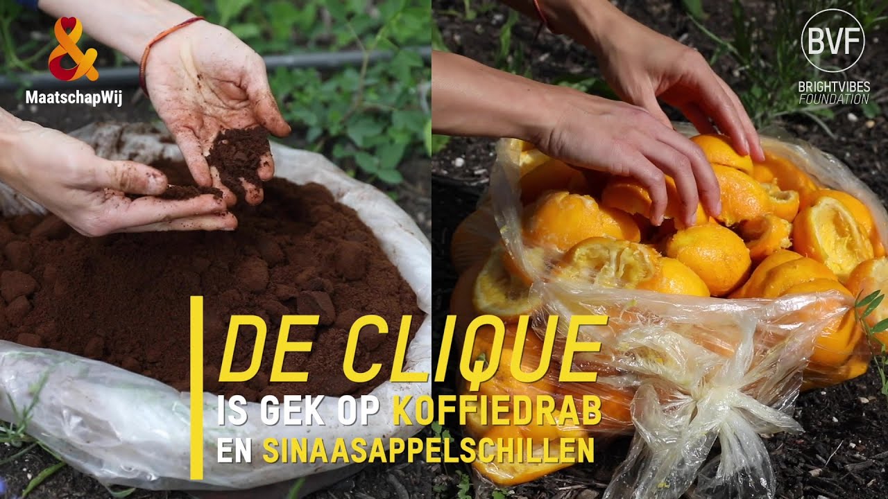 Anja Cheriakova van De Clique vertelt over afvalvrije steden