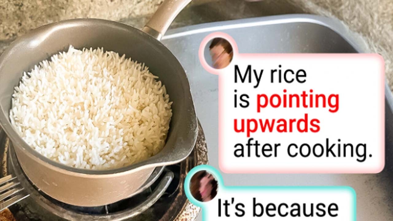 Cool Things People Found That Made Them Stop And Share