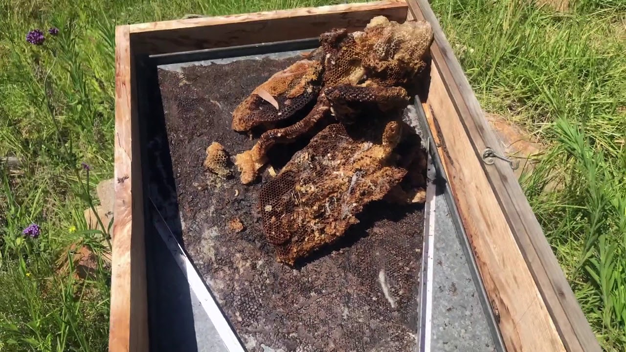 Homemade solar Beeswax melter | Kenyan Top Bar Hive Management