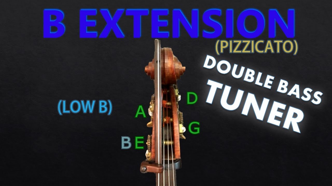 Double Bass - B-EXTENSION Tuning (PIZZICATO) (Tuner)